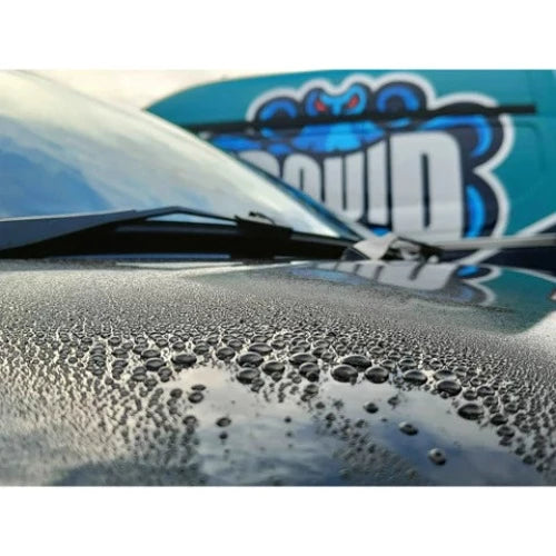 Squid Ink Detailing Wet seal