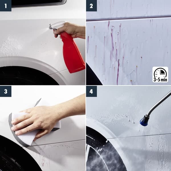 Sonax Fallout Cleaner