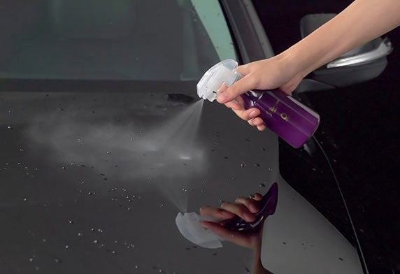 Soft99 Platinum Liquid Smooth Egg