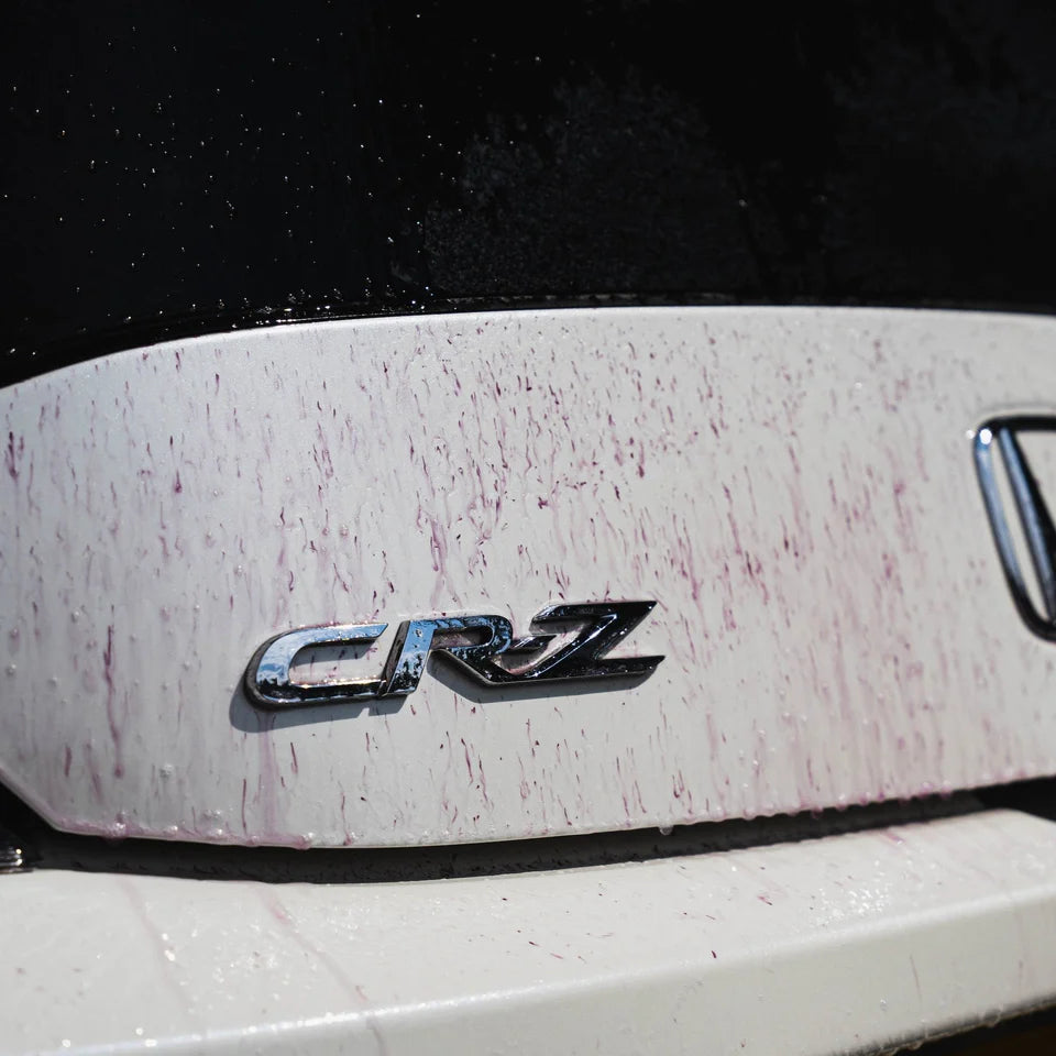 Autobrite Direct | Purple Rain Fallout Remover