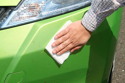 Soft99 - Fukupika Bug & Droppings Removal Wipes