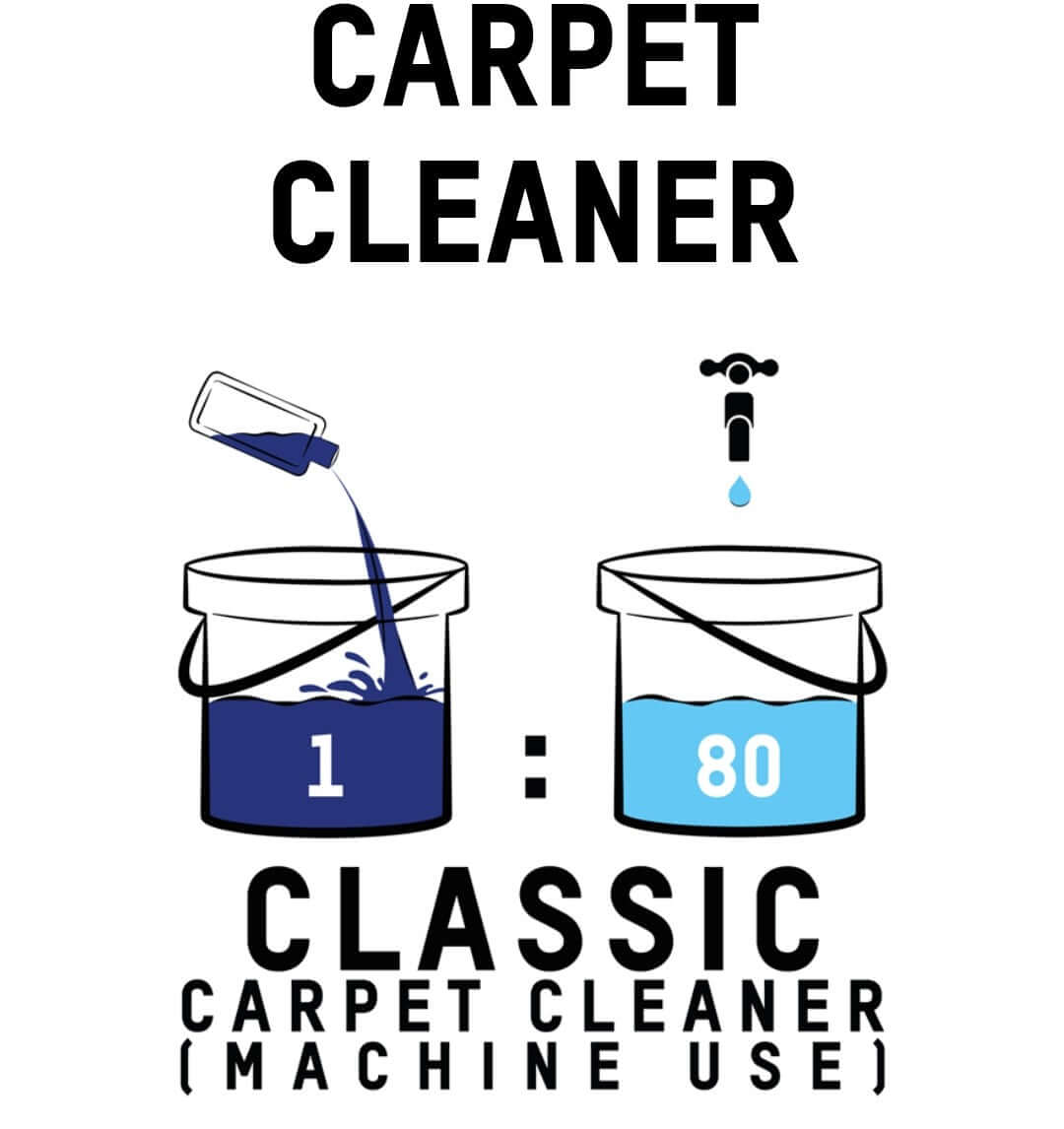 ValetPRO - Classic Carpet Cleaner