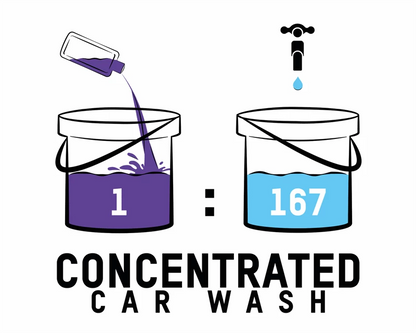 ValetPRO - Concentrated Car Wash